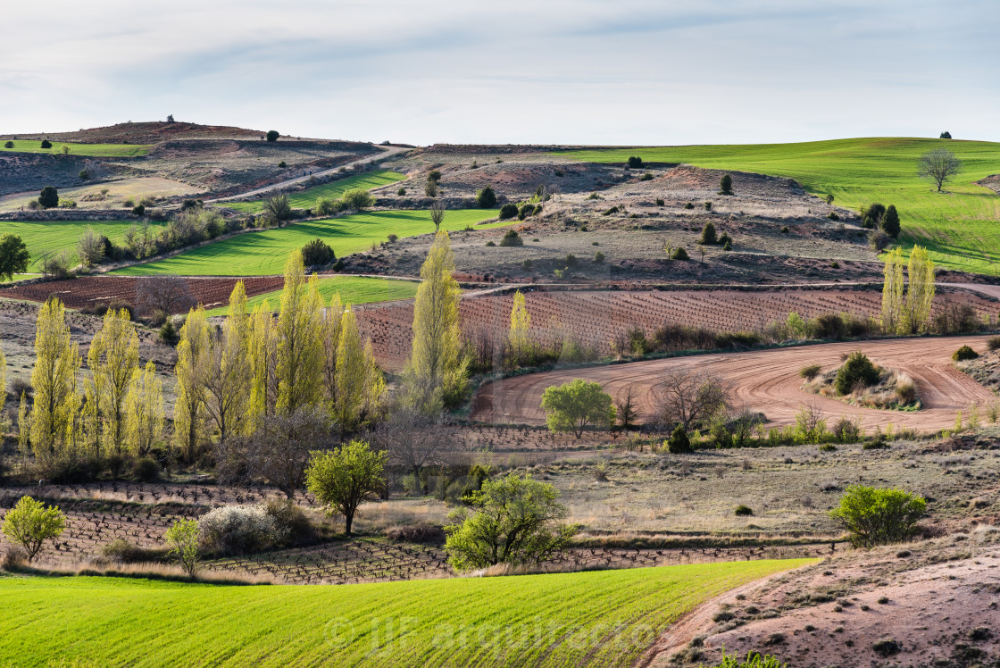 "Picturesque view of idyllic farmland fields in Castile and Leon region, Spain. View at spring, before sunset" stock image