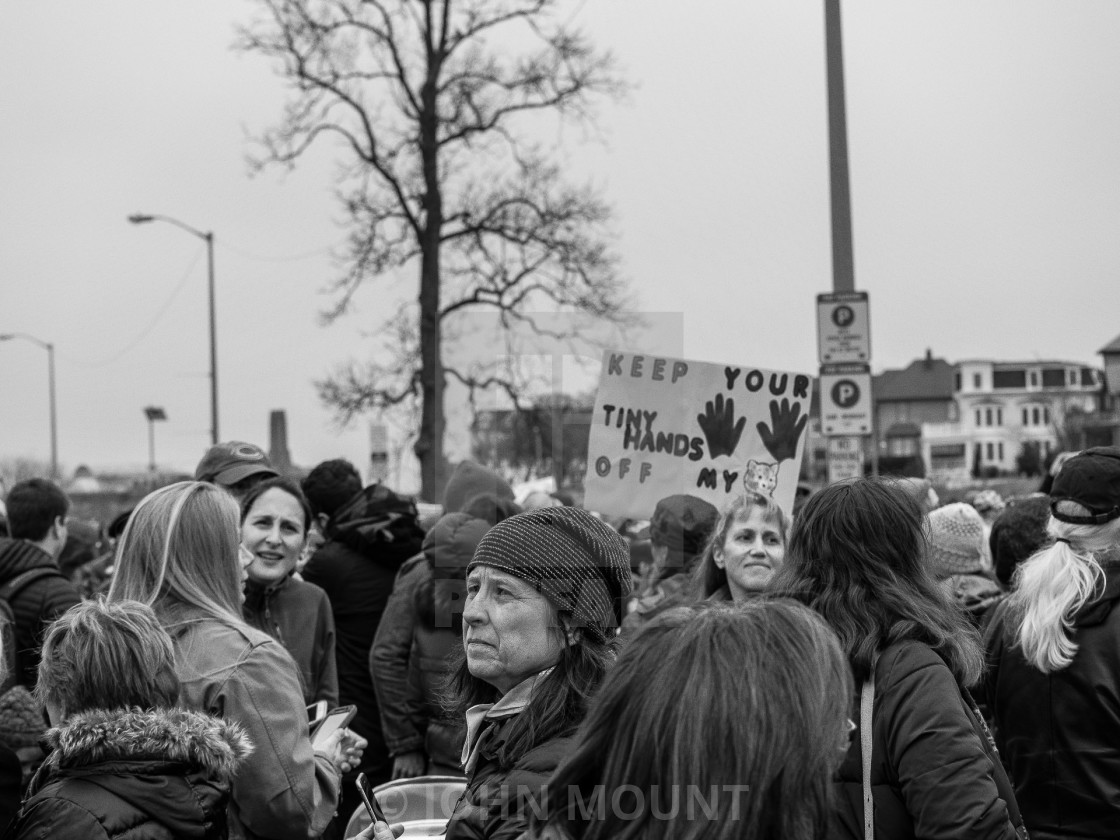 "MILLION WOMAN MARCH, ASBURY PARK NJ" by JOHN MOUNT - $25.14 "MILLION WOMAN MARCH, ASBURY PARK NJ" stock image