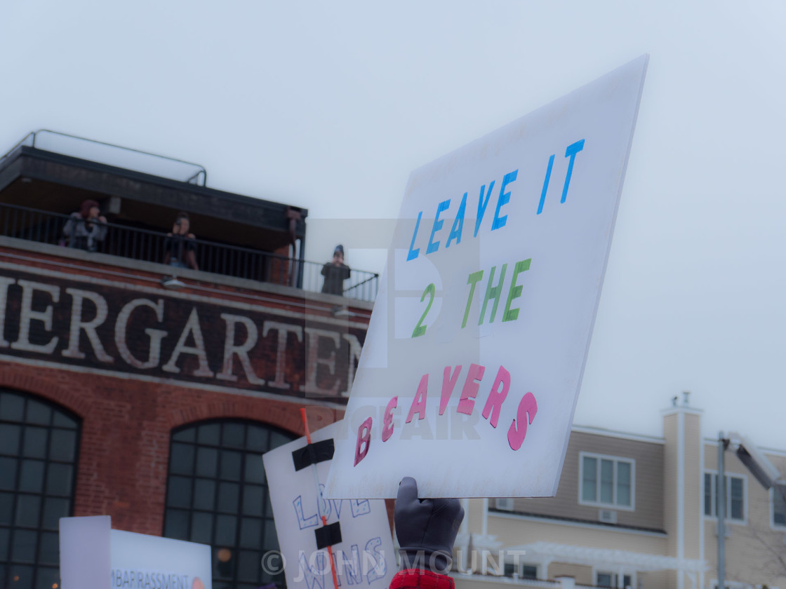 "MILLION WOMAN MARCH, ASBURY PARK NJ" by JOHN MOUNT - $25.14 "MILLION WOMAN MARCH, ASBURY PARK NJ" stock image