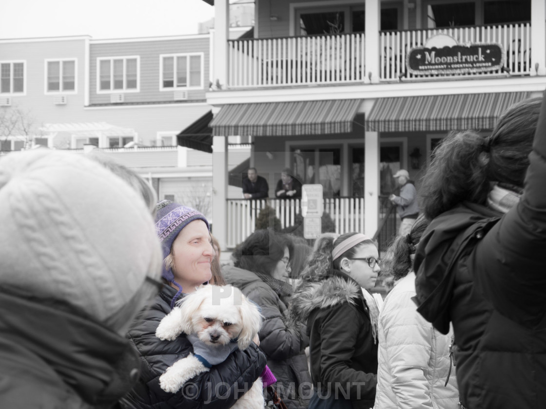 "MILLION WOMAN MARCH, ASBURY PARK NJ" by JOHN MOUNT - $25.10 "MILLION WOMAN MARCH, ASBURY PARK NJ" stock image