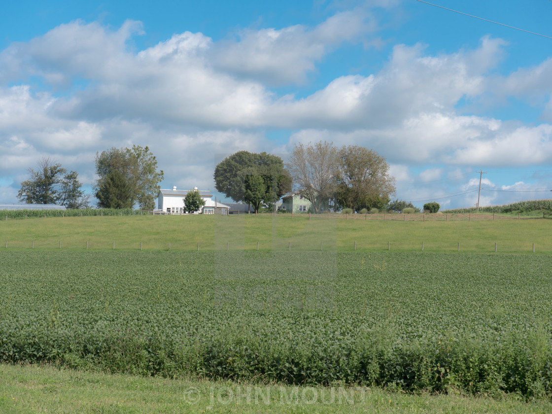 "AMISH FARM IN PENNSYLVANIA" by JOHN MOUNT - $25.10 "AMISH FARM IN PENNSYLVANIA" stock image
