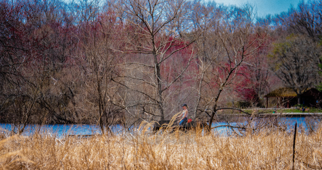 "woman riding a horse in the country" by JOHN MOUNT - £20.00 "woman riding a horse in the country" stock image