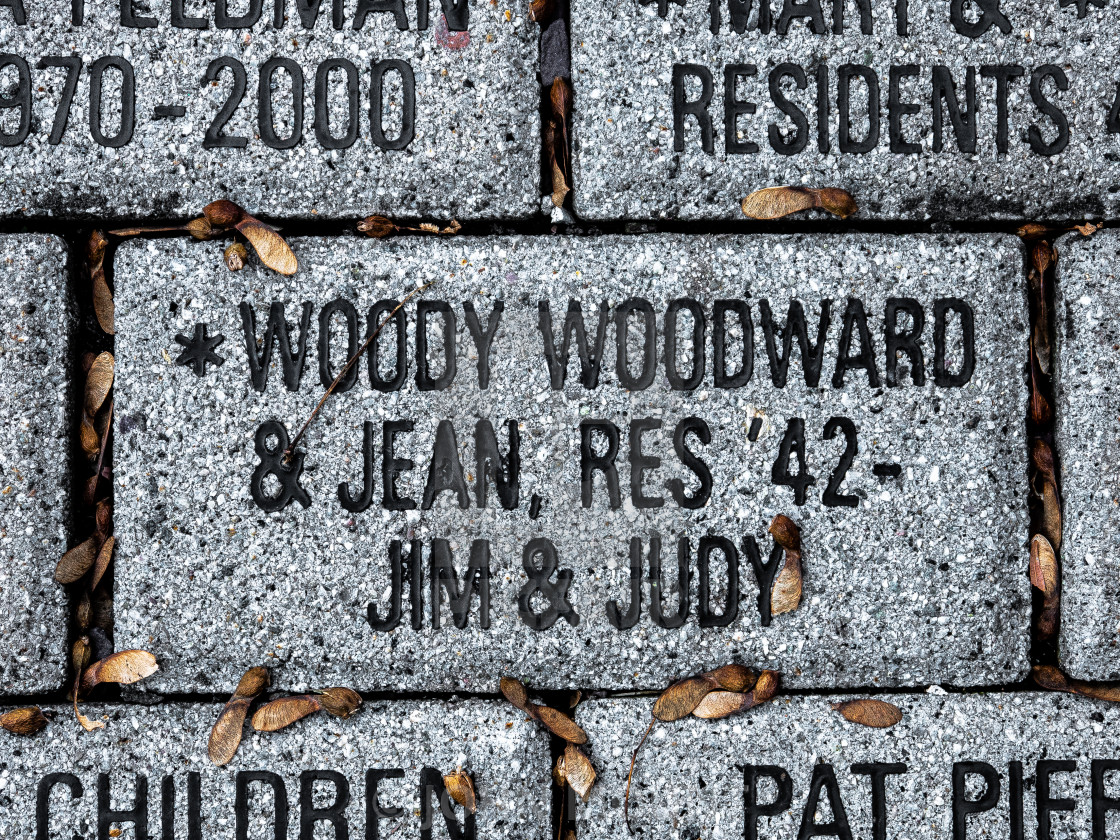 "Tiger Park" by JOHN MOUNT - £20.00 "Tiger Park" stock image