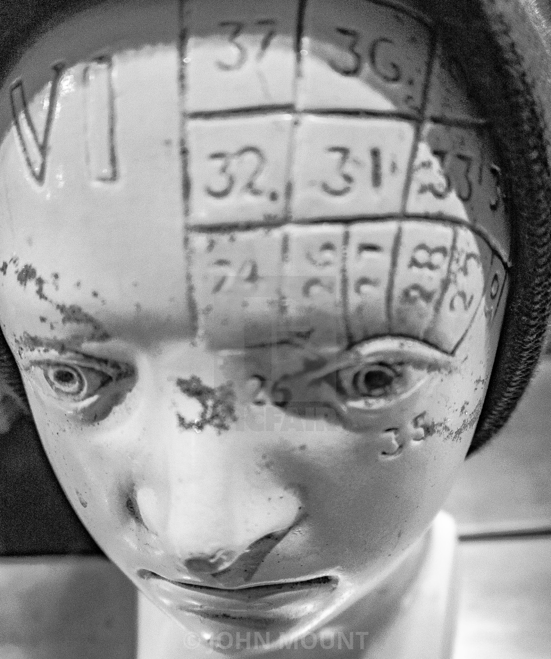 "Phrenology Statue" by JOHN MOUNT - £20.00 "Phrenology Statue" stock image