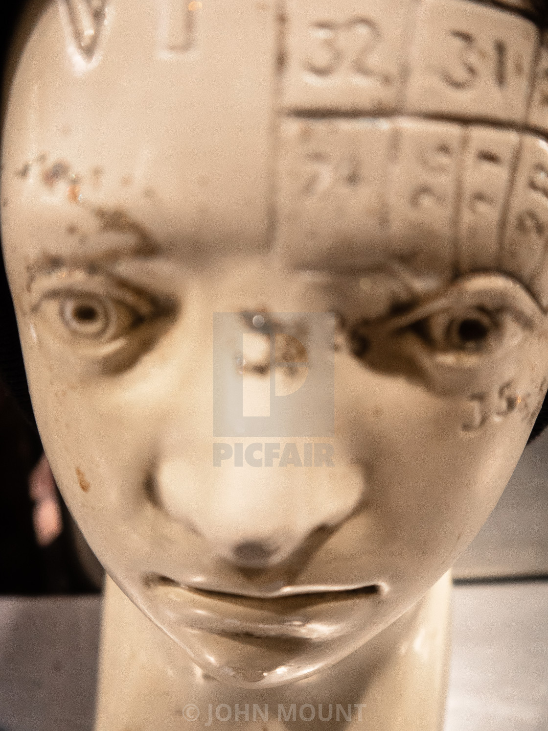 "Phrenology Statue" by JOHN MOUNT - £20.00 "Phrenology Statue" stock image