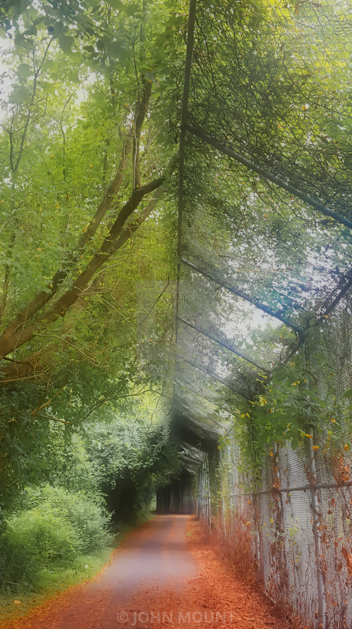 "Nature Walk" by JOHN MOUNT - £20.00 "Nature Walk" stock image