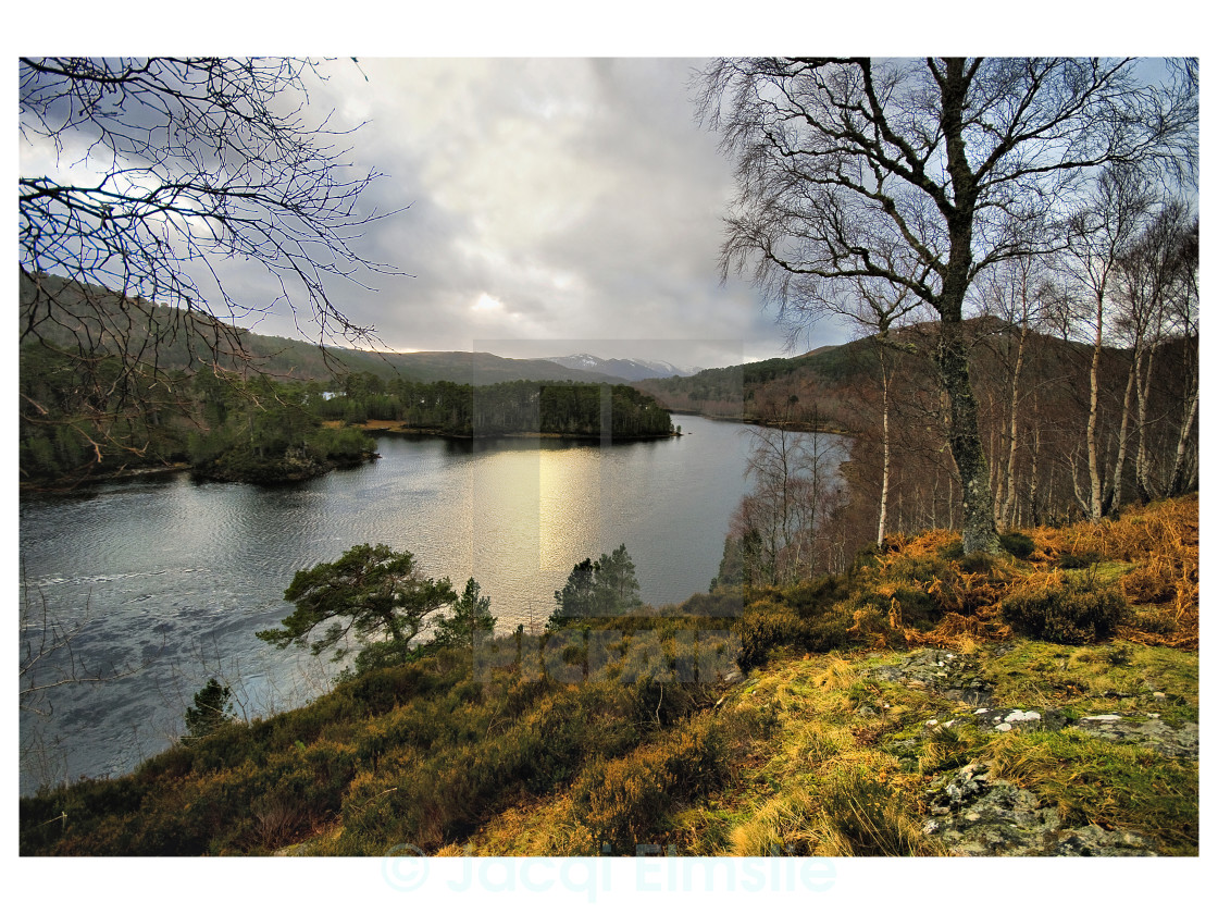 Glen Affric Scotland License Download Or Print For 18 60 Photos Picfair