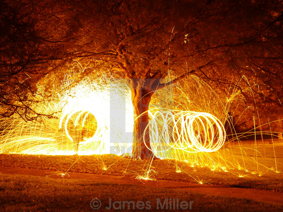 "Fire Tree" stock image