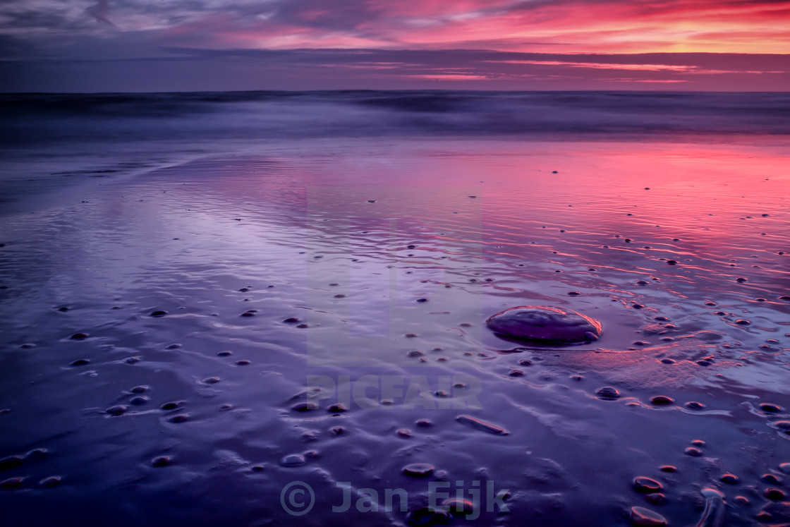 "A Jellyfish Sunset - Pink" by Jan Eijk - £8.00 "A Jellyfish Sunset - Pink" stock image
