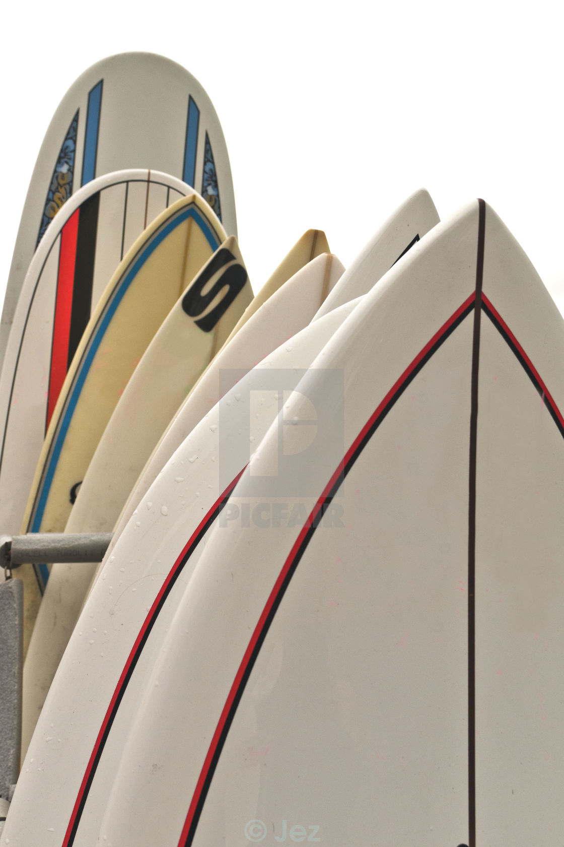 "Surf Boards" stock image