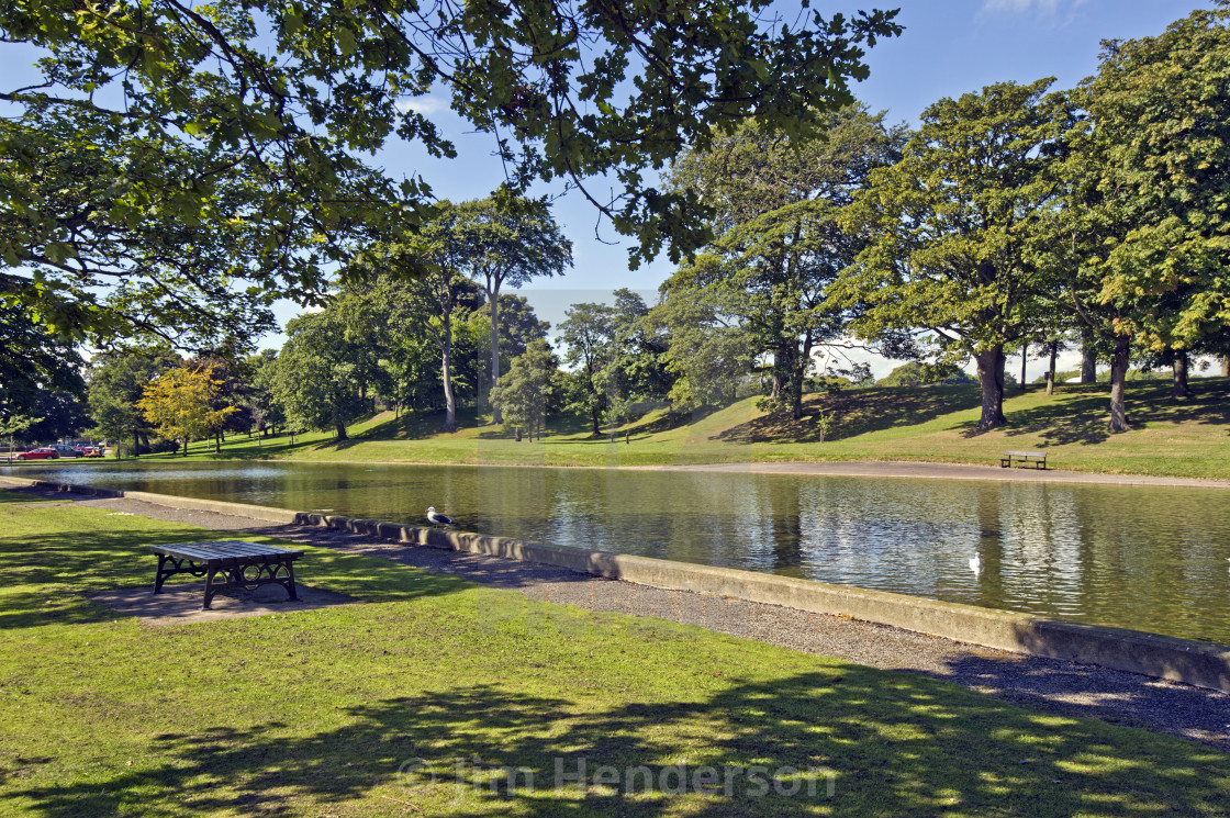 Aberdeen Duthie Park License Download Or Print For 25 00