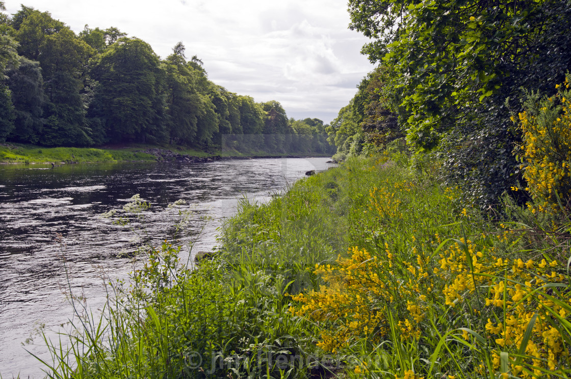 River Dee Banchory License Download Or Print For 25 00