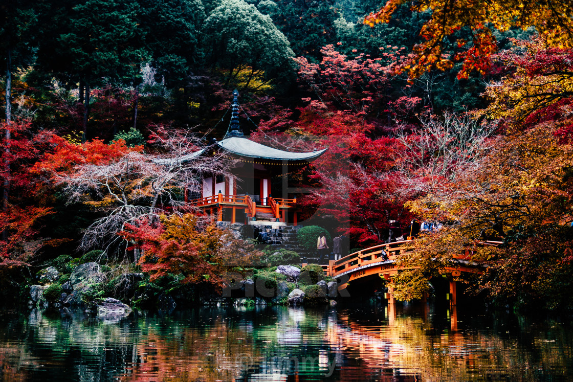 "Fall in Kyoto" stock image