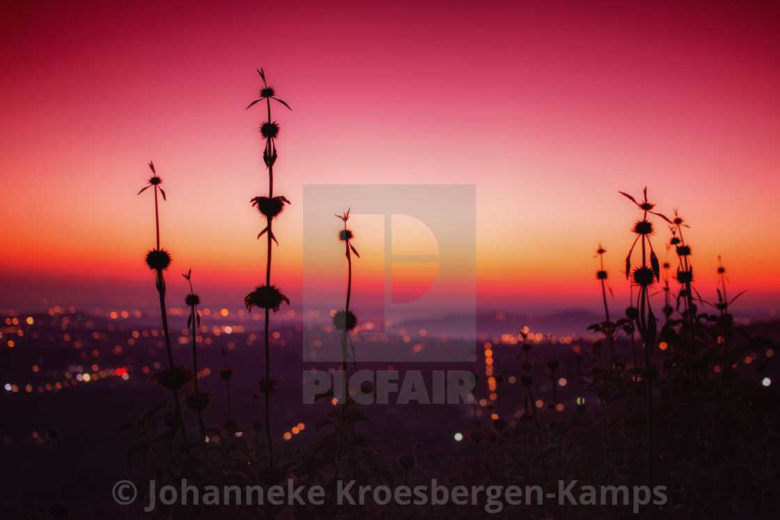 "Sunrise over Pretoria" by Johanneke Kroesbergen-Kamps - $15.41 "Sunrise over Pretoria" stock image