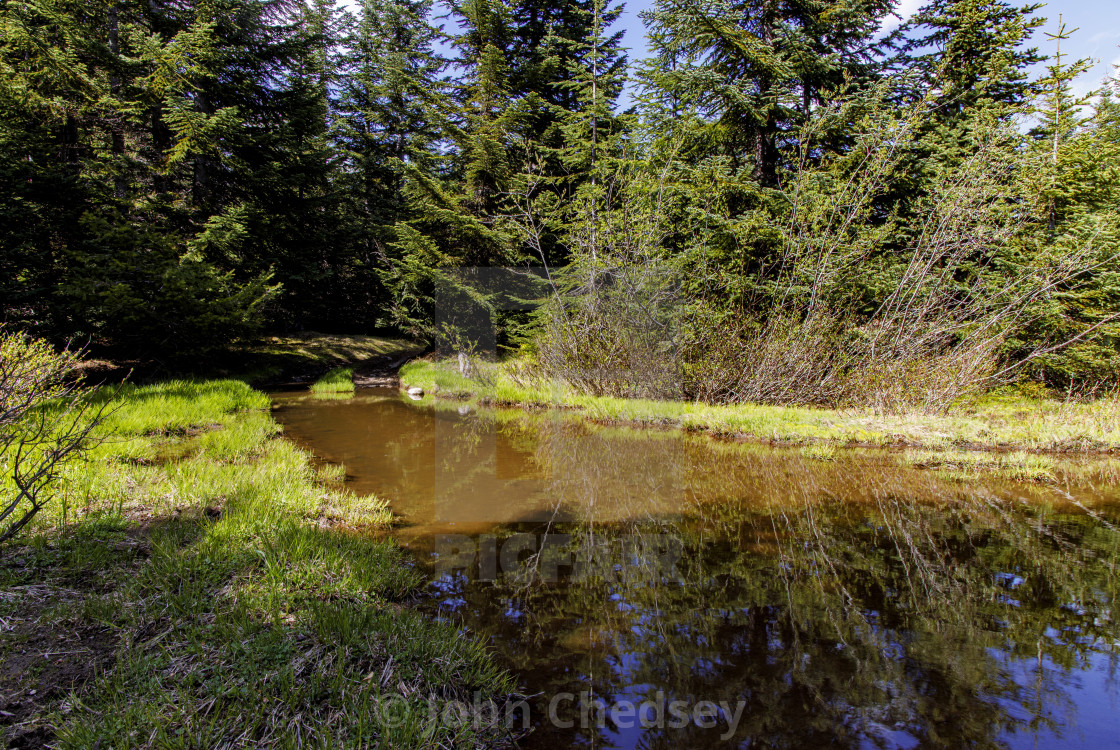 "Jeep Trail Submerged By Pond" by John Chedsey - $23.36 "Jeep Trail Submerged By Pond" stock image