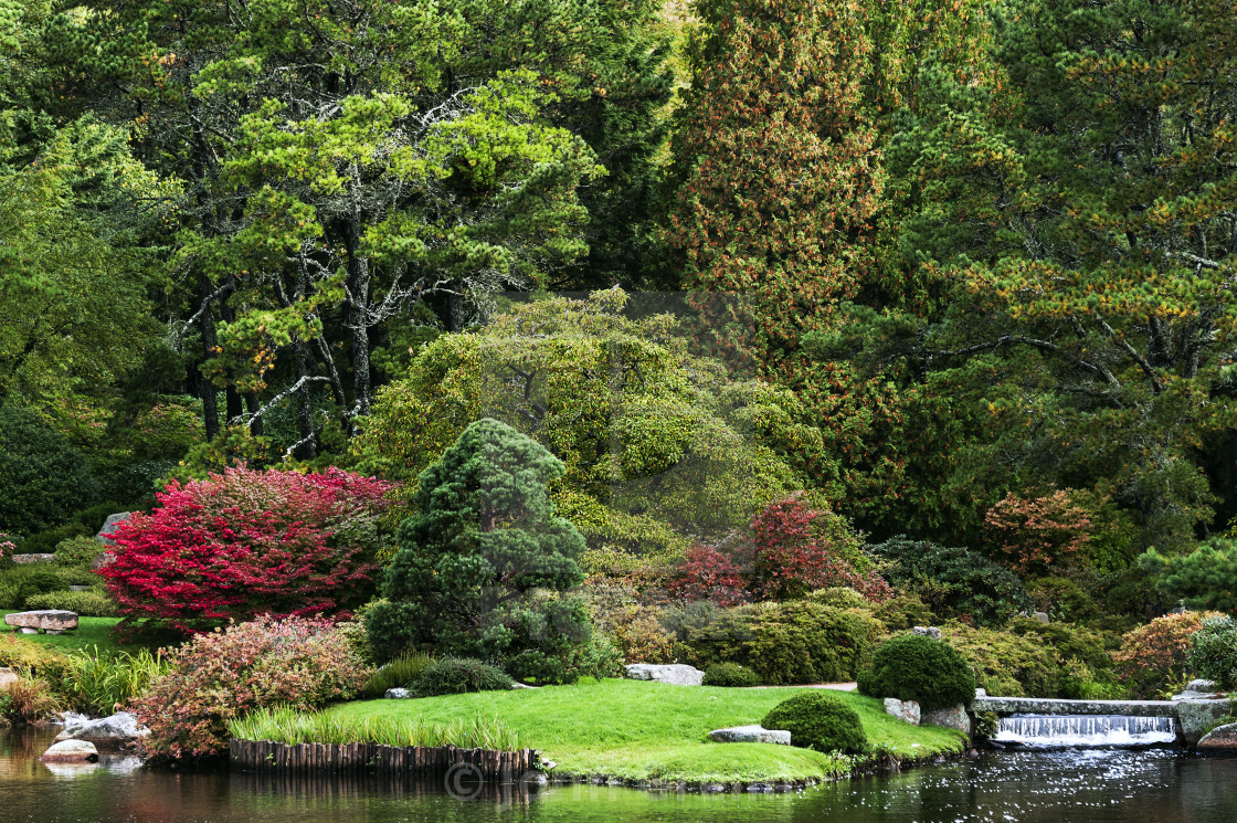 Asticou Azalea Garden Public Northeast Harbor Maine Usa