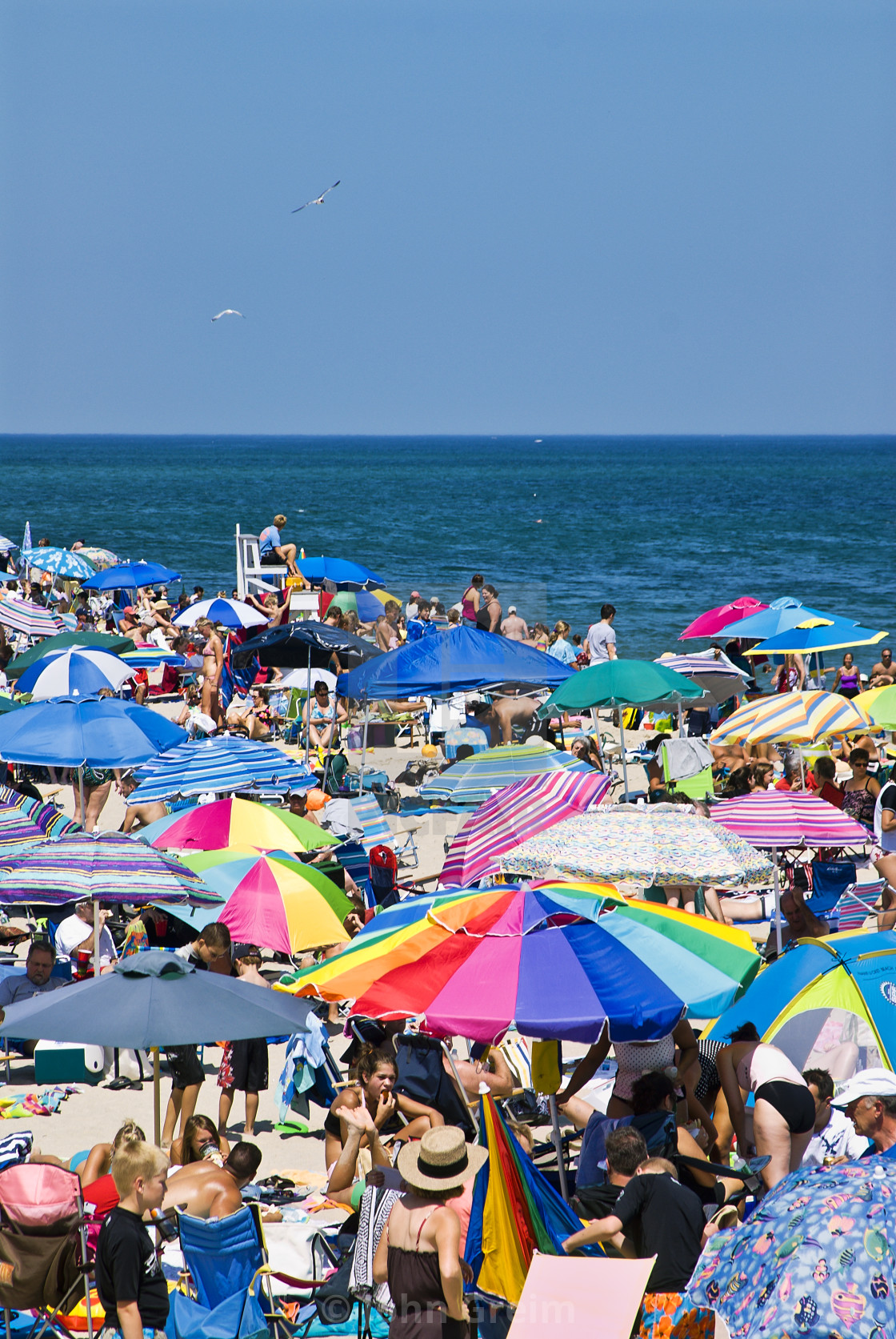 Crowded Summer Beach With Colorful Umbrellas Nauset Beach Cape Cod National Seashore Cape Cod Massachusetts Usa License Download Or Print For 22 32 Photos Picfair