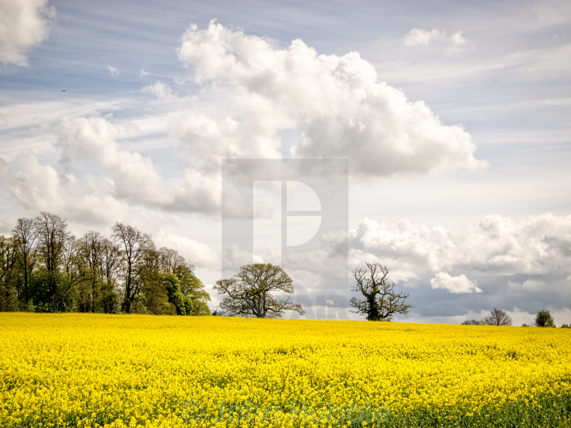 "Spring clouds" stock image