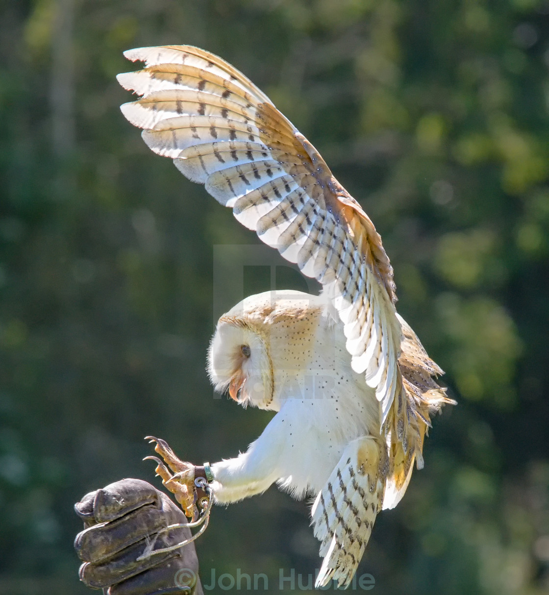 "The landing" stock image