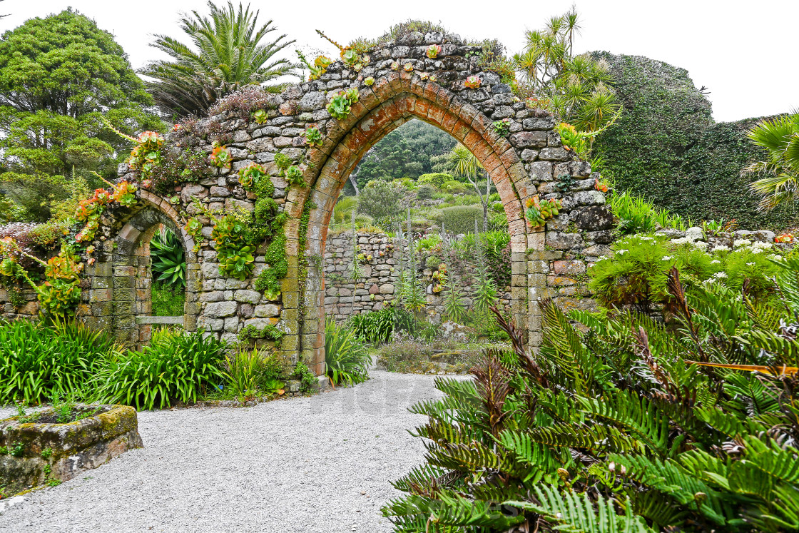 "Tresco Abbey Gardens, Tresco, Isles of Scilly, England, United K" stock image