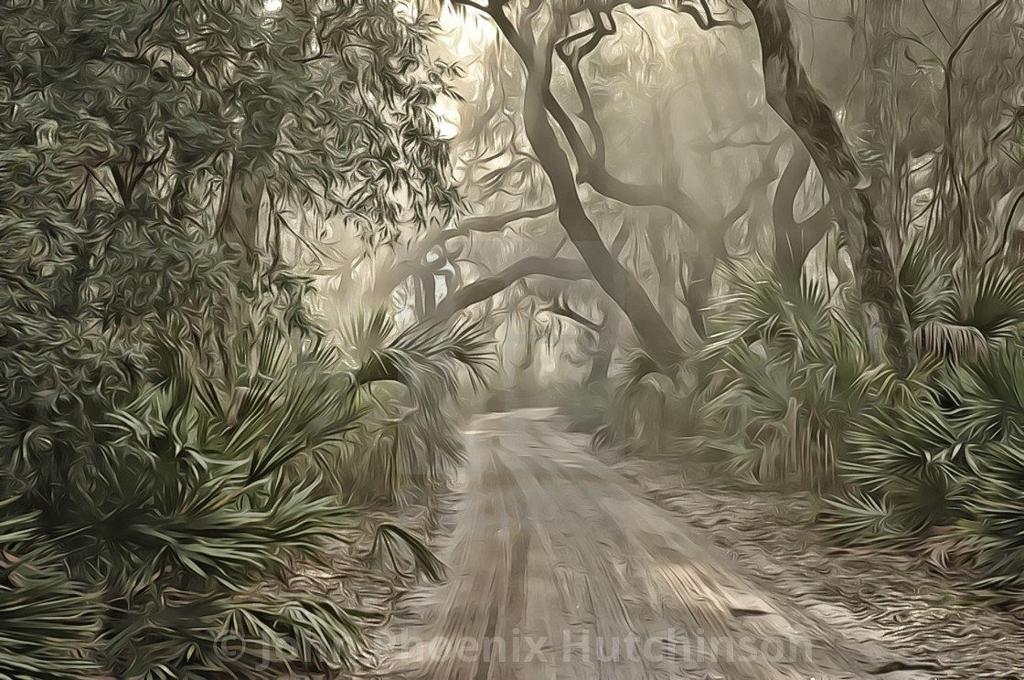 Magical Mystical Enchanted Pagan Forest License Download Or