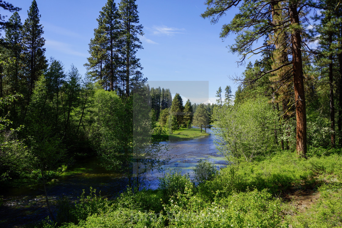 "River flowing towards the mountains" stock image