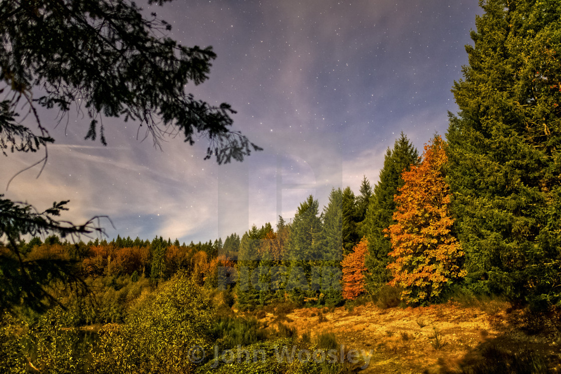 "Night at Millersylvania state park" stock image