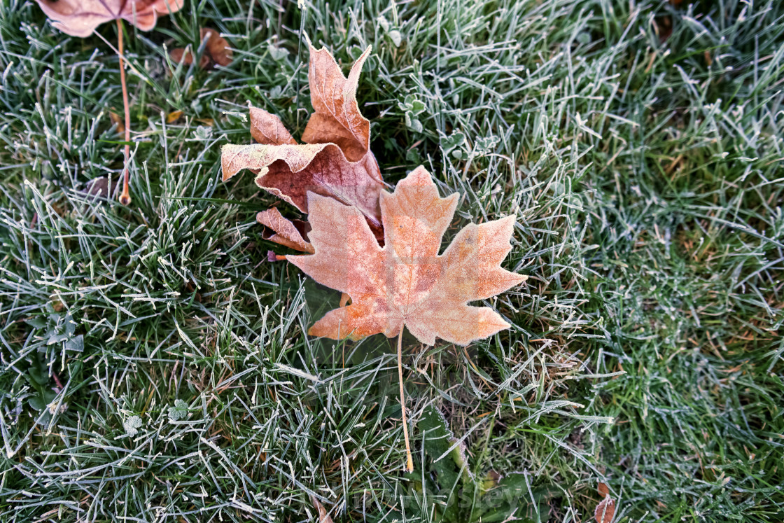 "Winter is coming" stock image