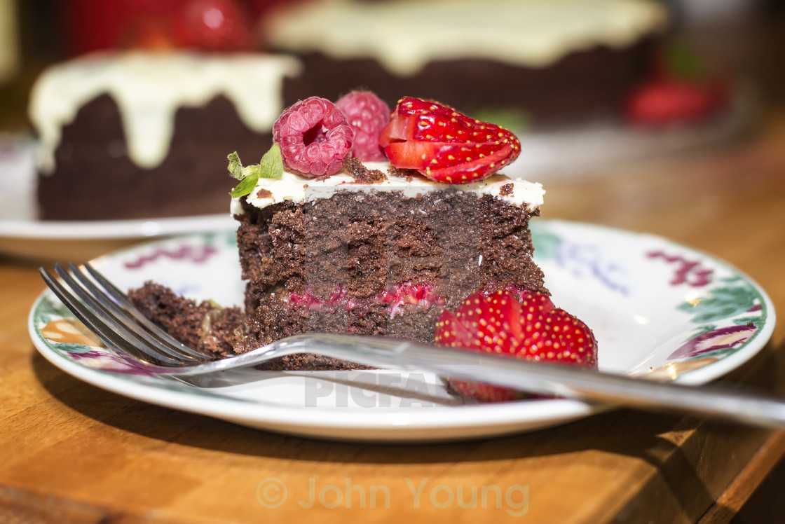 "Chocolate Mint Summer Fruit Gateaux" by John Young - $6.09 "Chocolate Mint Summer Fruit Gateaux" stock image
