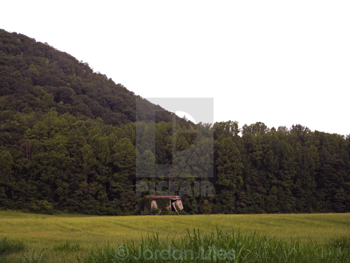 Abandoned Barn Being Reclaimed By Nature In East Tennessee Near