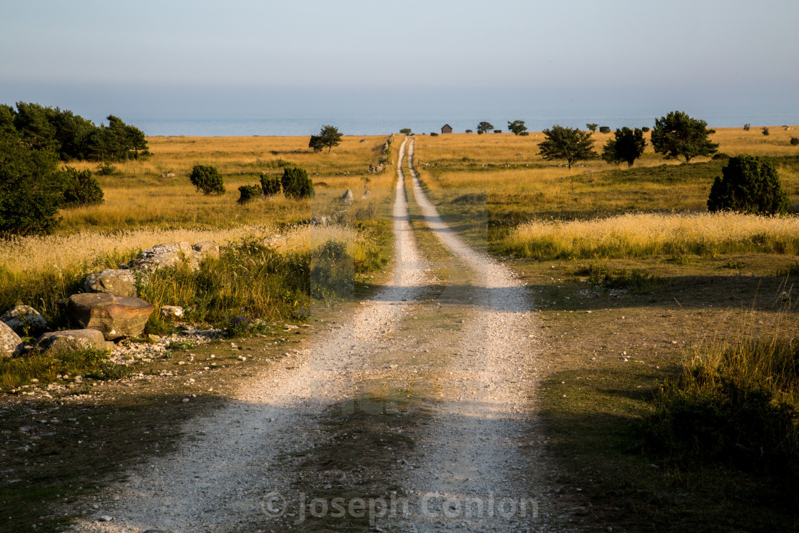 "Dirt Track leading through a Meadow to Sea in Gotland, Sweden" by Joseph Conlon - $10.69 "Dirt Track leading through a Meadow to Sea in Gotland, Sweden" stock image