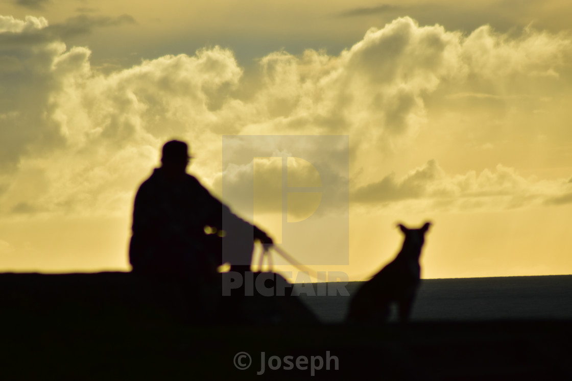 Best Friend Sunset License Download Or Print For 1 24 Photos