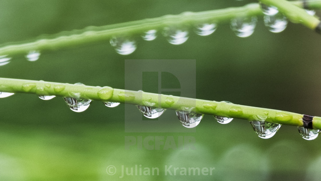 "Droplets and reflections 4" stock image