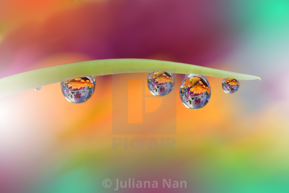 "Tranquil abstract closeup art photography." stock image