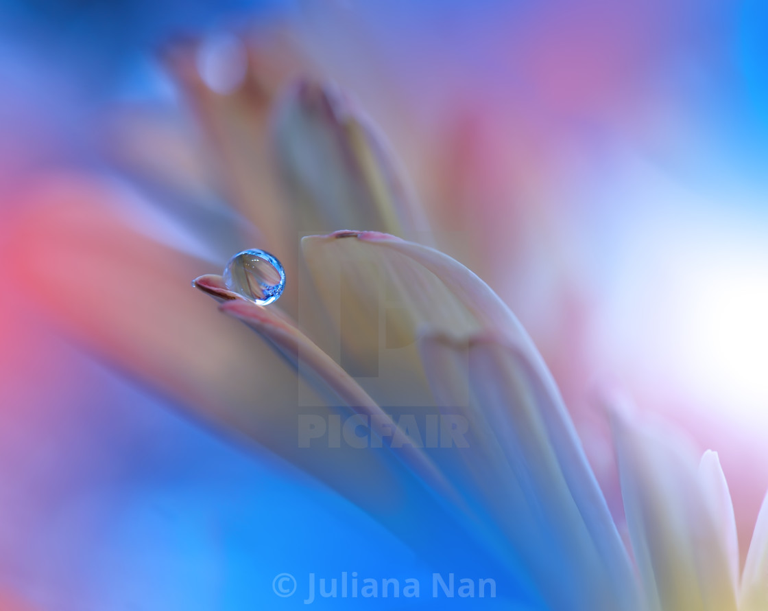 "Tranquil abstract closeup art photography." stock image