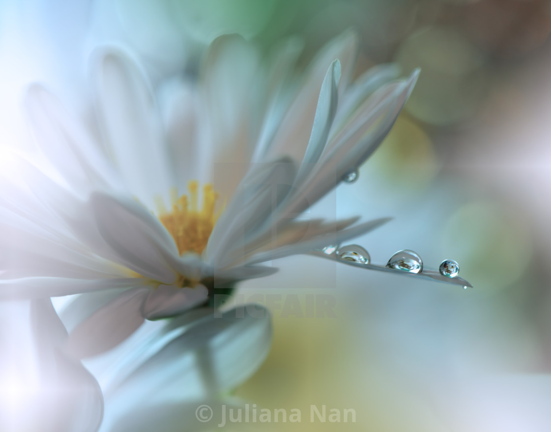 "Tranquil abstract closeup art photography." stock image