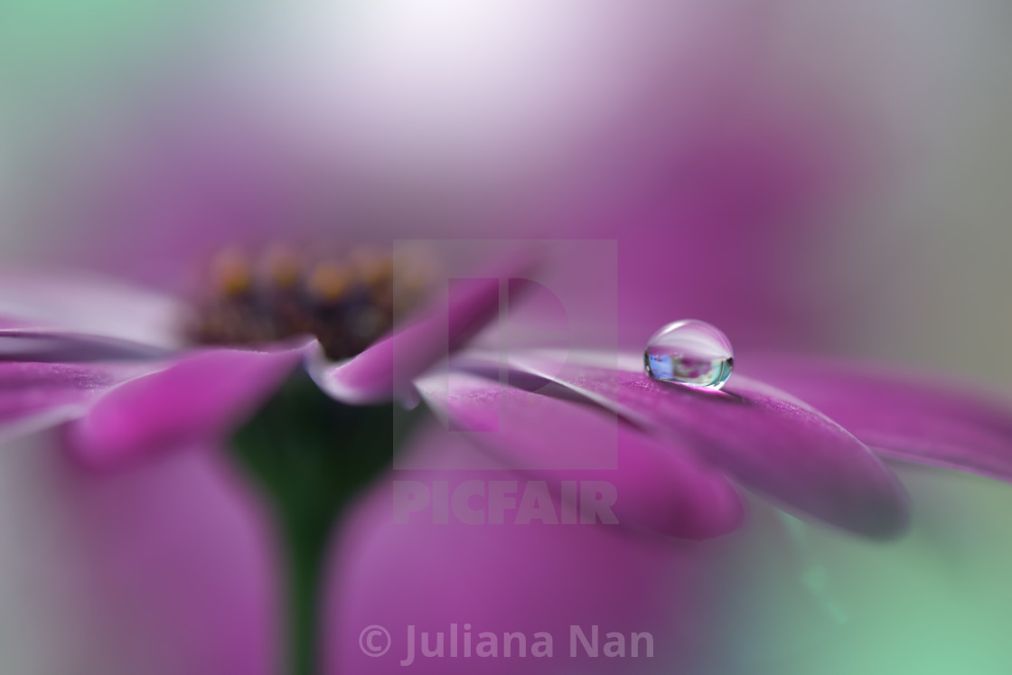 "Tranquil abstract closeup art photography.Pastel Flower.Floral fantasy design." stock image