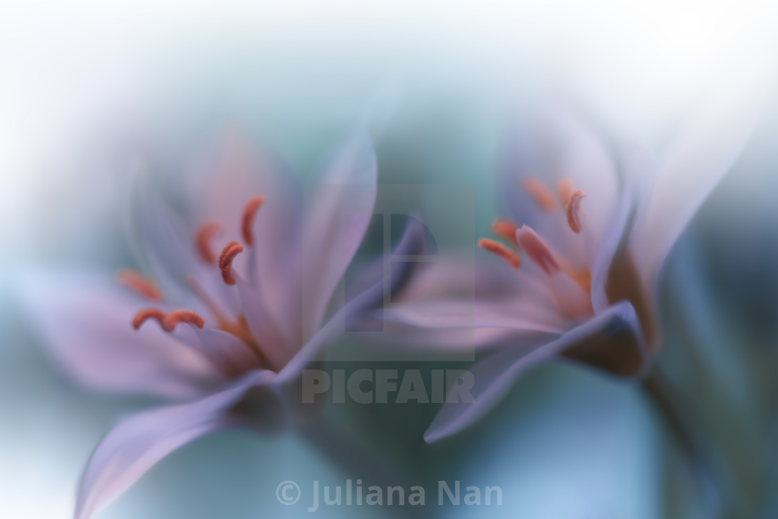 Beautiful Green Nature Background Love Romance Romantic Fantasy Floral Art License Download Or Print For 31 00 Photos Picfair Romantic good morning images cute lover and beautiful whatsapp wishes wallpaper & facebook pic. https www picfair com pics 08236630 beautiful green nature background love romance romantic fantasy floral art