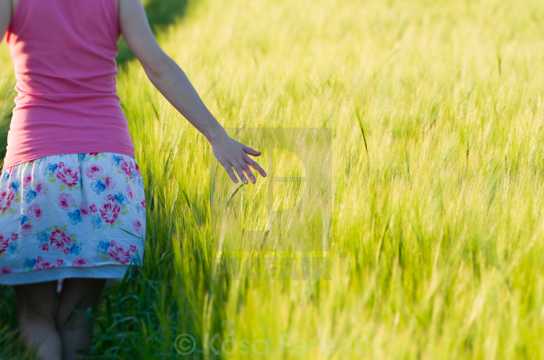 "Woman in Barley Field Closeup" stock image