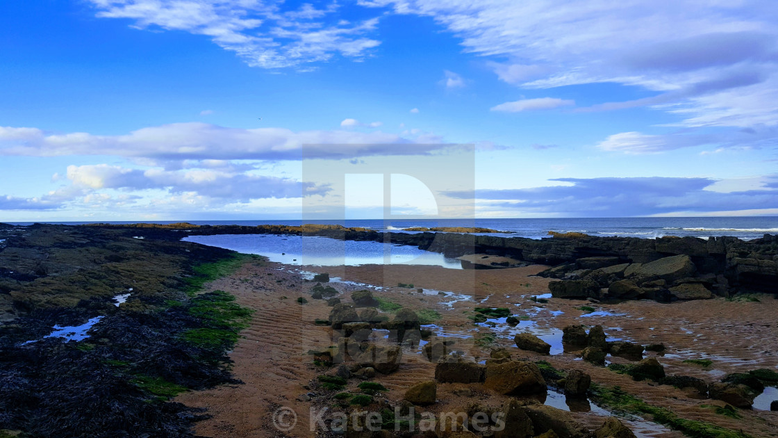 "Rock pool rebellion" by Kate Hames - $7.72 "Rock pool rebellion" stock image