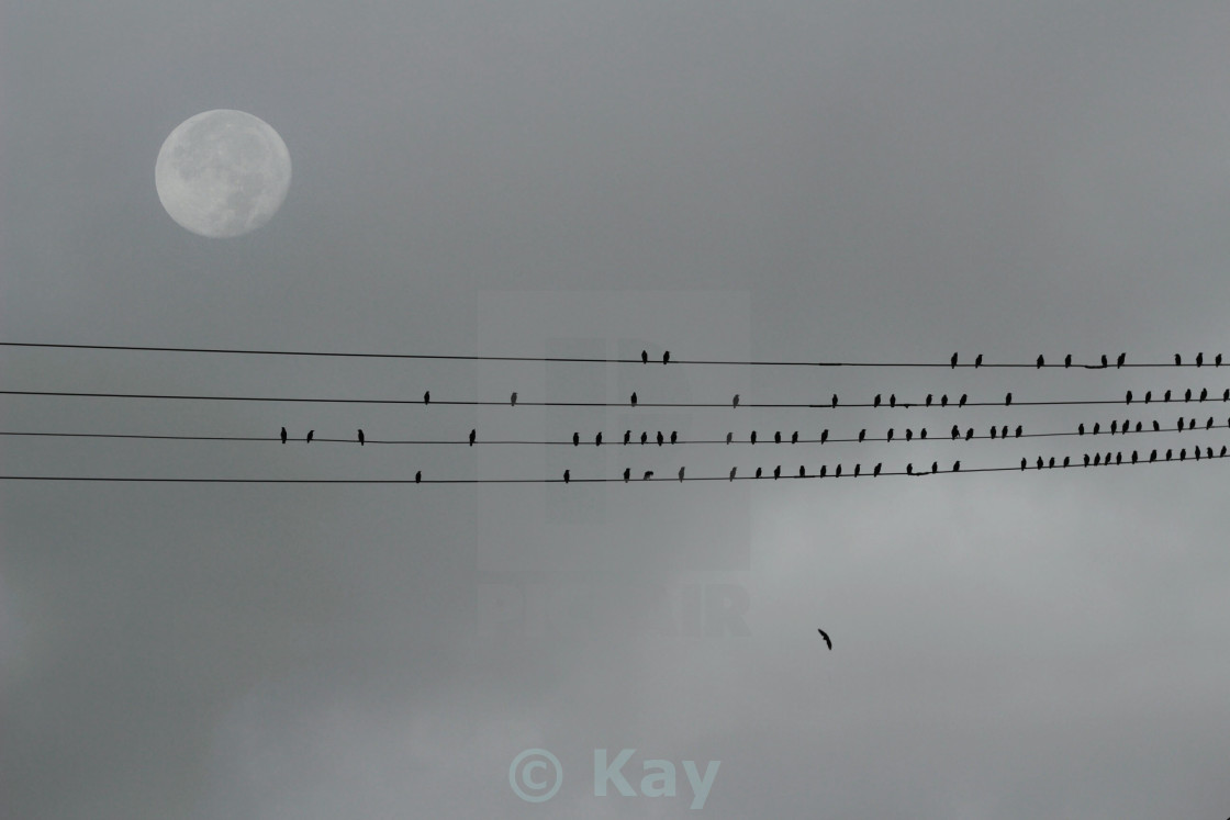 "Morning after October supermoon 2016" stock image