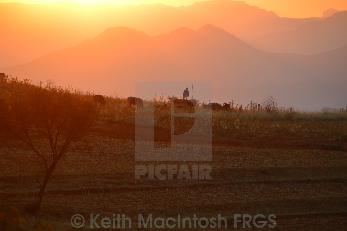 "An Early Start" stock image