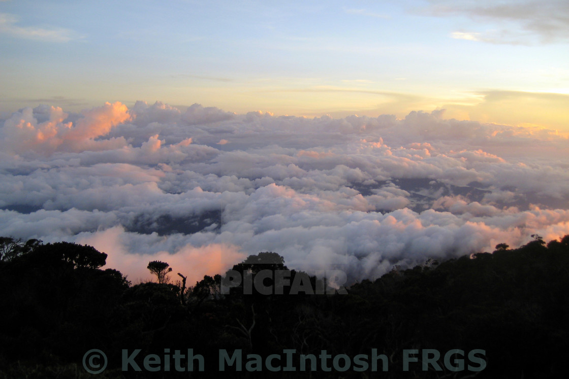 "Below Kinabalu" stock image