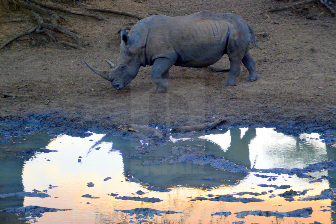 "Reflected Glory" stock image