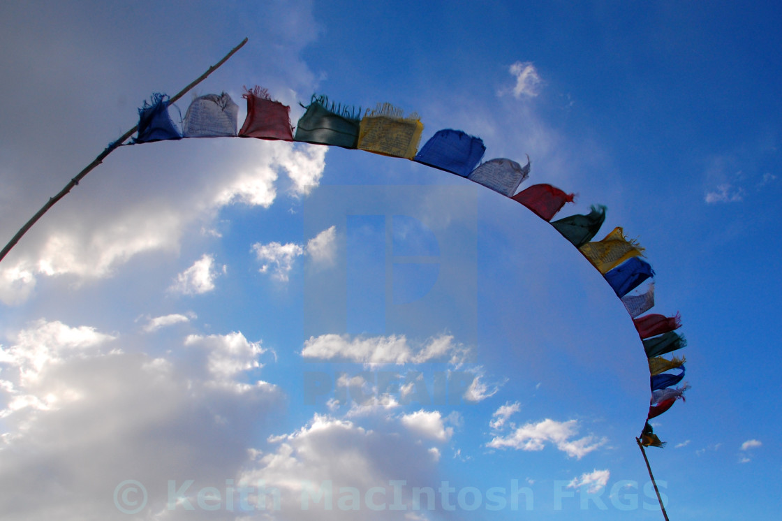 "On the Wind" stock image