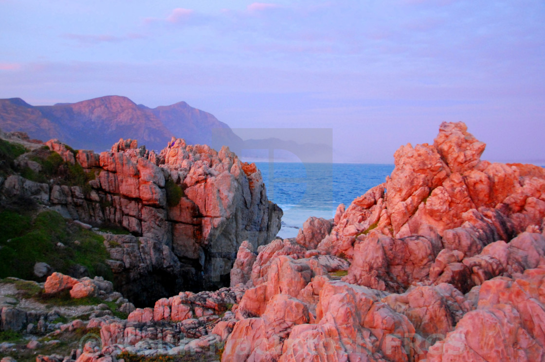 "Watching for Whales" stock image