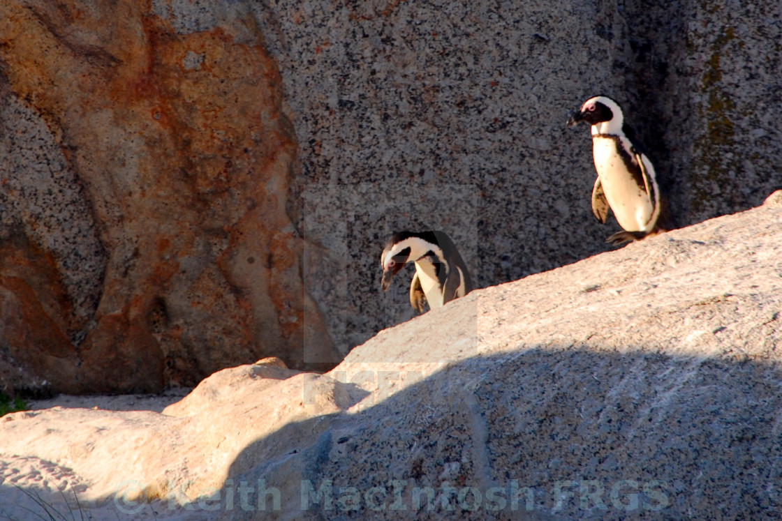 "Across the Rocks" stock image