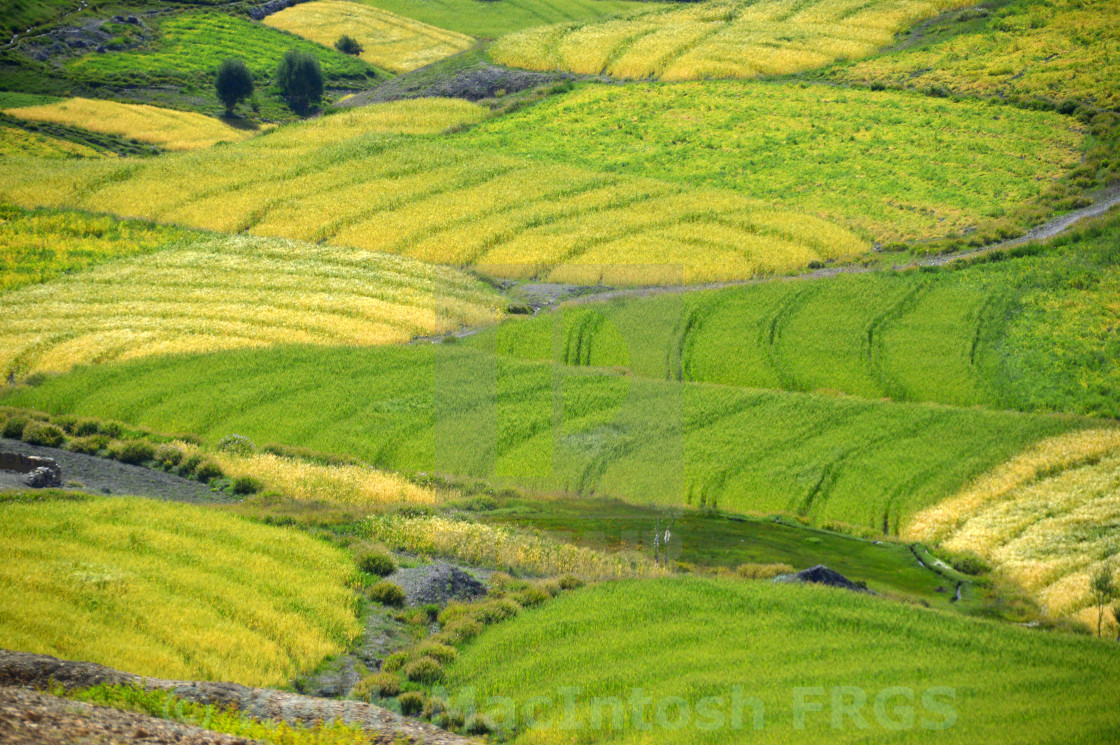"Lingshed Fields" by Keith MacIntosh FRGS - $12.55 "Lingshed Fields" stock image