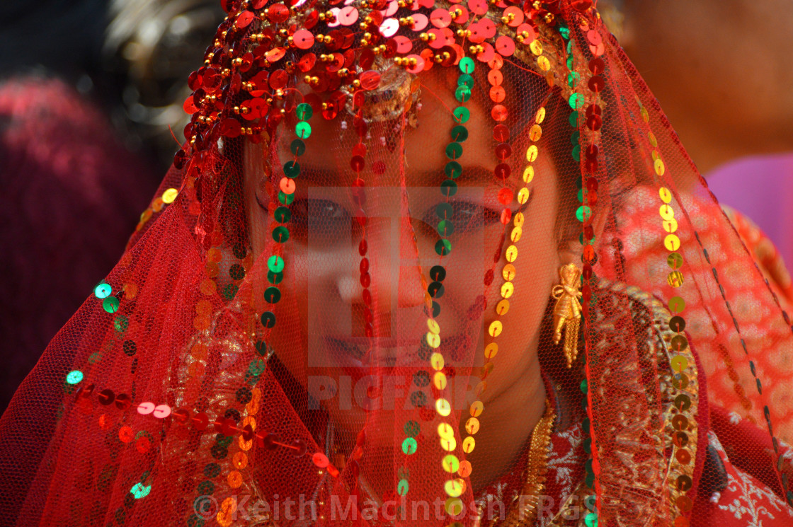 "Wood Apple Bride" stock image