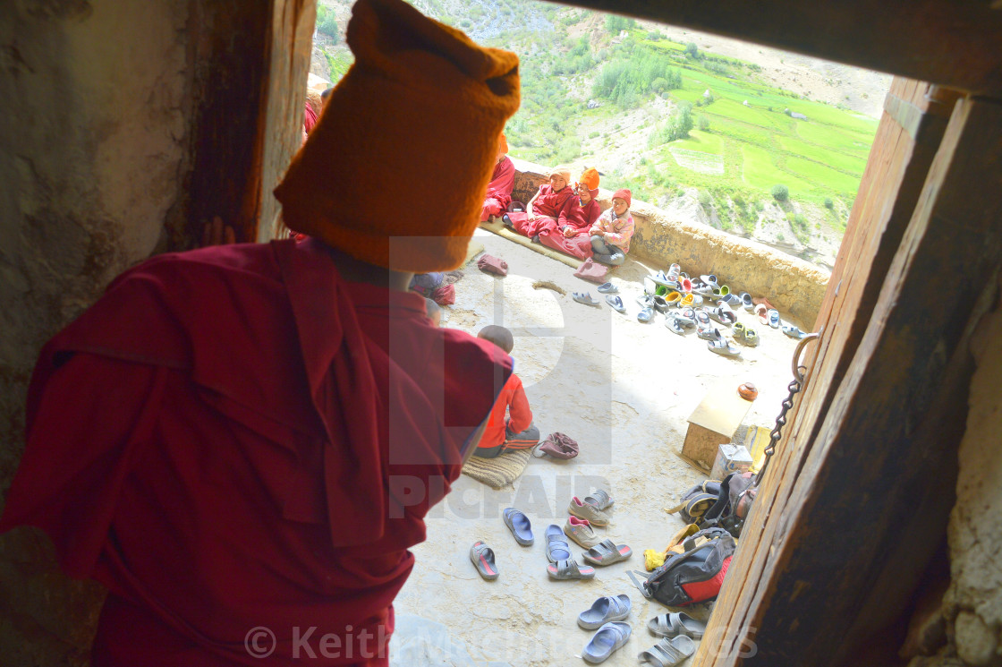 "Looking Through" by Keith MacIntosh FRGS - $12.55 "Looking Through" stock image
